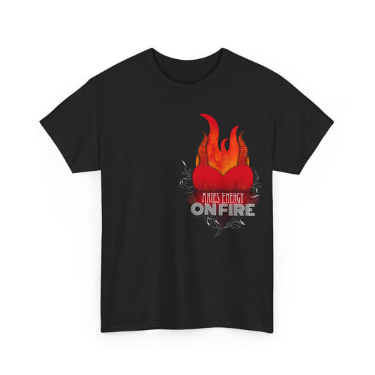 Aries energy on fire