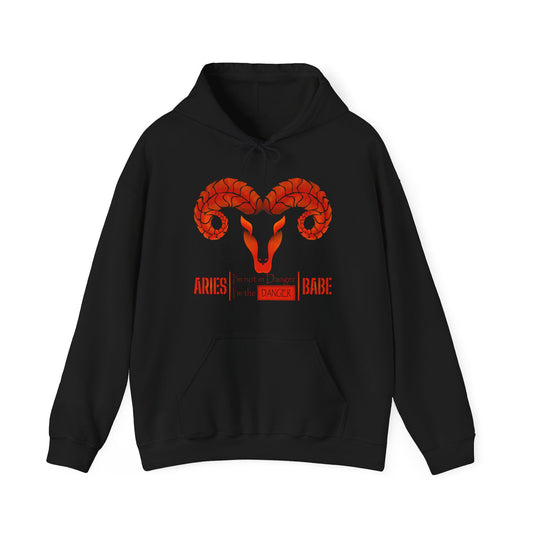 Aries Babe Danger