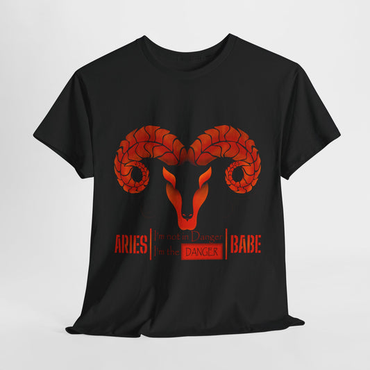 Aries Babe Danger
